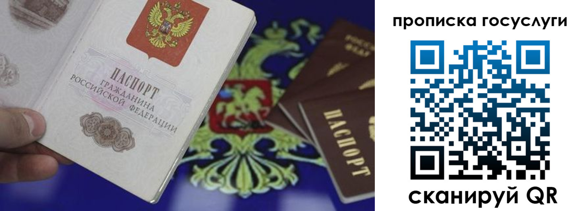 прописка для школы в Кисловодске